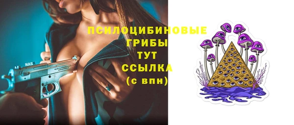 дмт Корсаков
