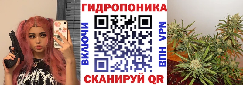 Купить закладки  Почеп  Канабис планчик 